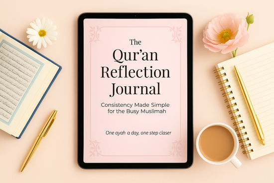 The Reflection Edit